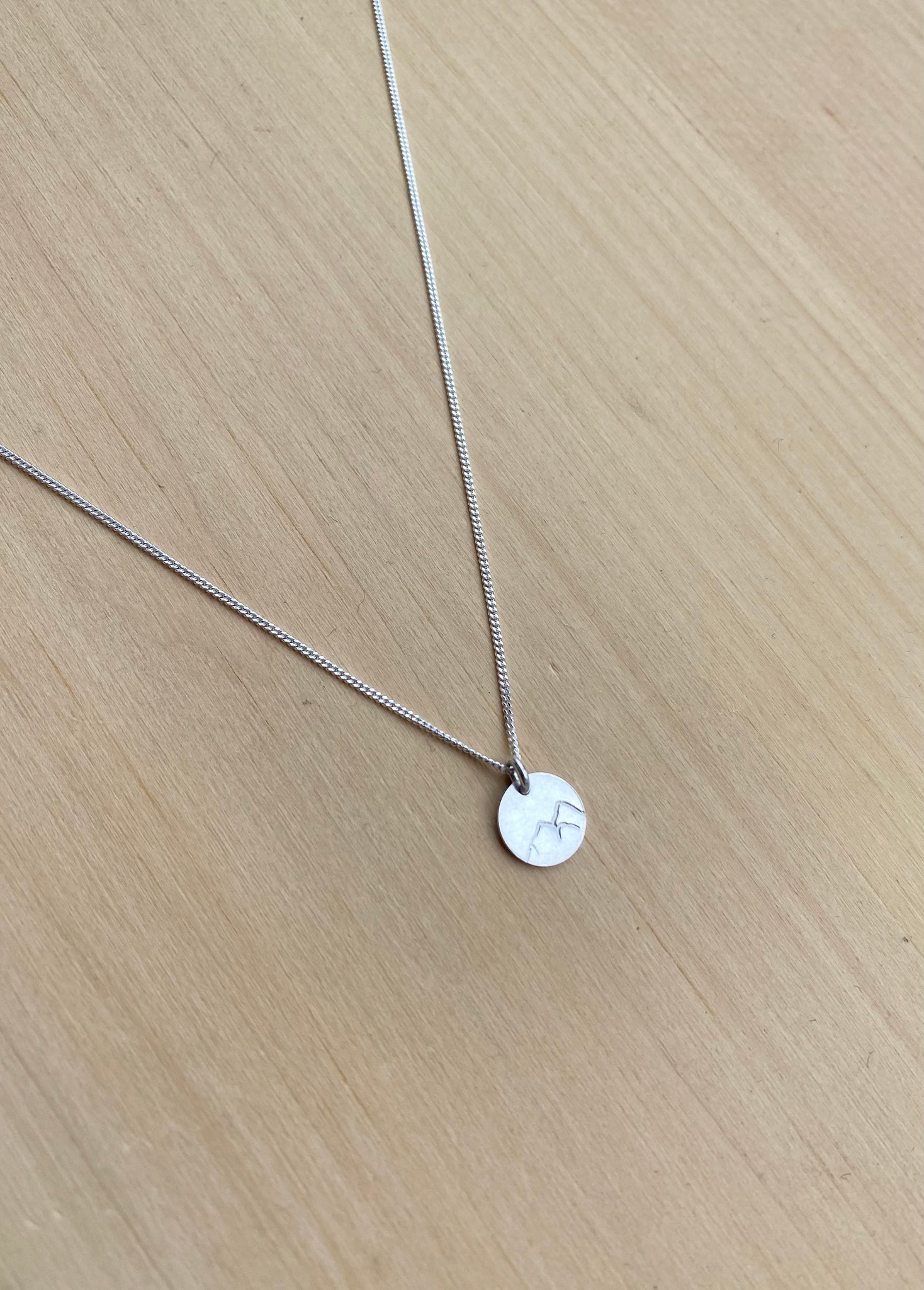 Silver Mountain Necklace